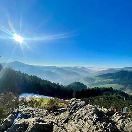 Lägenhet Zentraler Schwarzwald-traum *