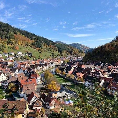 Lägenhet Zentraler Schwarzwald-traum Wolfach